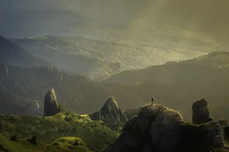 Trilha